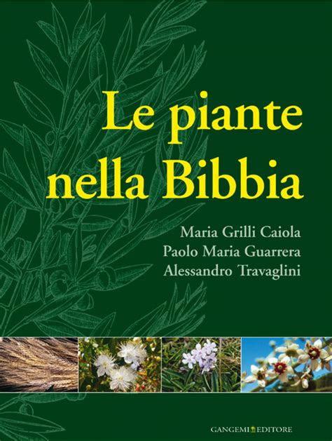 Collage di diverse piante menzionate nella Bibbia.