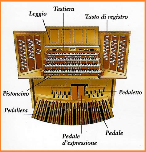 Schizzo tecnico o infografica di un organo a canne