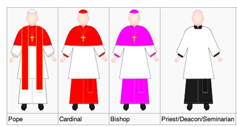 schema della gerarchia cattolica che mostra il Papa, i cardinali, gli arcivescovi, i vescovi, i sacerdoti e i diaconi