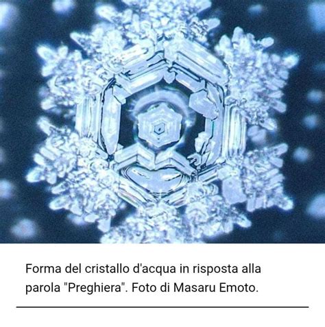 Foto di rose fresche con acqua santa o mani in preghiera
