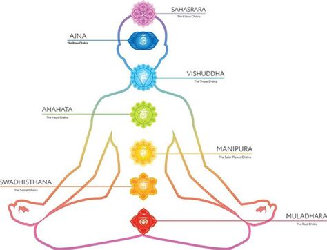 Schema grafico che mostra la posizione del chakra del cuore e la connessione con l'energia dell'Arcangelo
