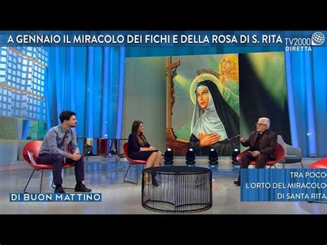 Illustrazione del miracolo delle rose e dei fichi di Santa Rita