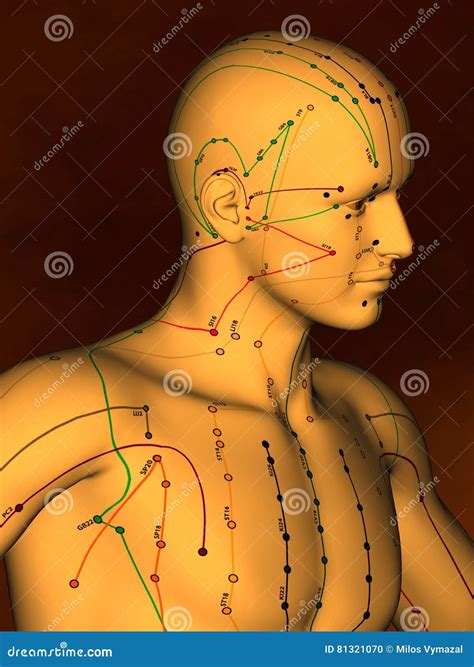 Illustrazione dettagliata dei punti di agopuntura su una mappa corporea