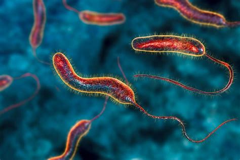 illustrazione storica dell'epidemia di colera in Lombardia nel XIX secolo