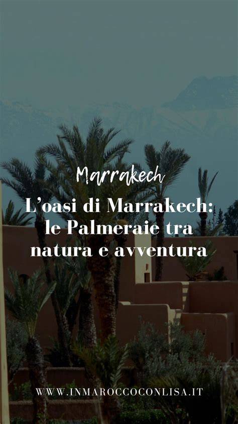 Oasi di palme a Marrakech con montagne innevate sullo sfondo