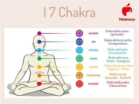 schema dei chakra con focus sul cuore e gola