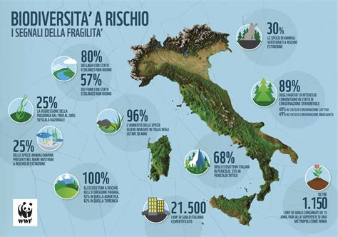 infografica che illustra i principali fattori che incidono sulla denatalità in Italia