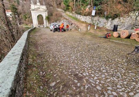Pianta della Via Sacra del Sacro Monte di Varese con indicazione della XIV Cappella