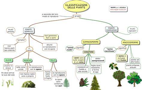 Schema di classificazione sistematica delle piante