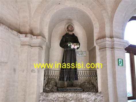 Foto del Roseto di San Francesco