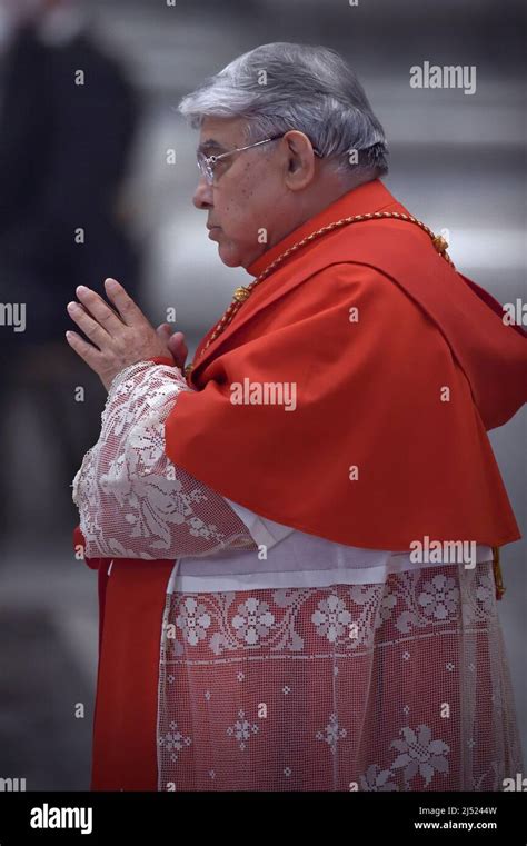 Foto del Cardinale Marcello Semeraro