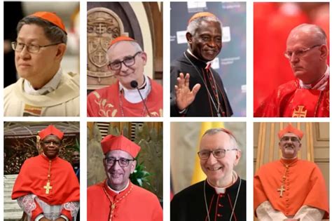 Ritratto dei principali cardinali 