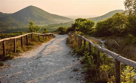 Panoramica delle alture liguri con sentieri e vegetazione mediterranea