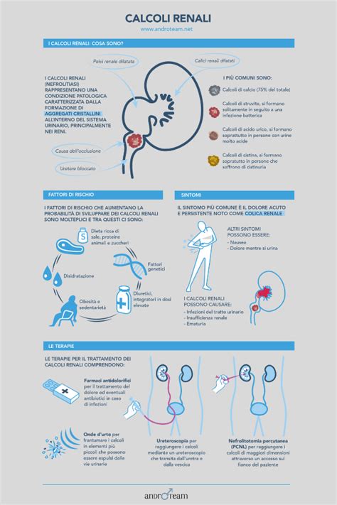 Infografica sulla prevenzione delle malattie renali o sui fattori di rischio