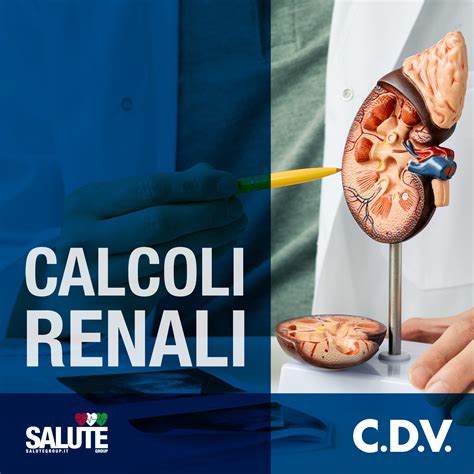Grafico illustrativo delle principali patologie trattate in urologia, come la calcolosi renale