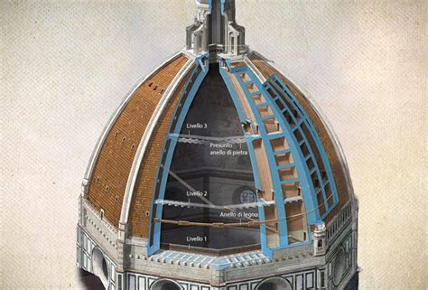 Infografica della doppia calotta e dei costoloni interni della Cupola del Brunelleschi
