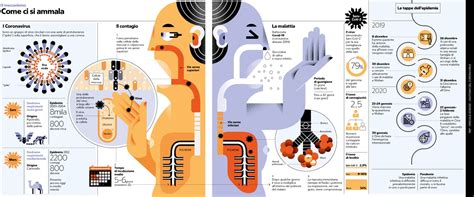 infografica che illustra il passaggio dal