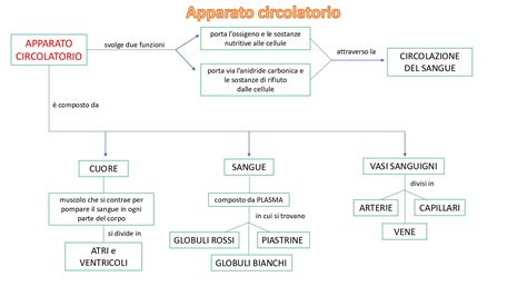 Schema concettuale della relazione sacerdote-Cristo nell'agire