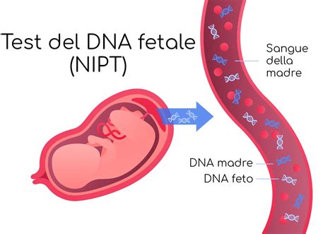 Foto: Illustrazione di documenti legali o un test del DNA con un risultato positivo, che simboleggia la conferma della paternità.