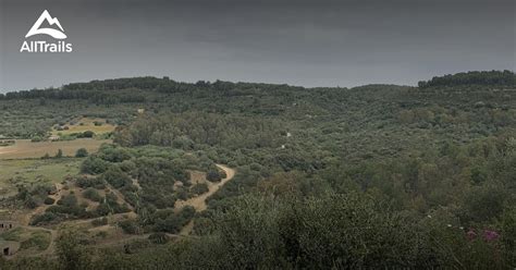 Mappa panoramica della Riserva Naturale Orientata Bosco di Santo Pietro