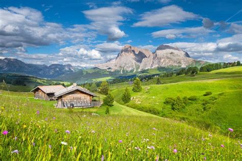 Foto di caccia in montagna, paesaggi alpini con galli forcelli, camosci e natura incontaminata