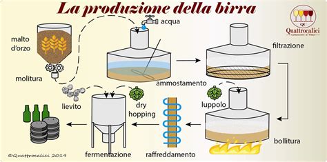 Infografica che mostra le fasi di produzione della birra agricola San Gabriel, dalle materie prime al prodotto finito