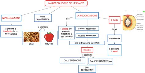 Mappa storica o riproduzione d'epoca di una parrocchia nel Cilento durante il periodo post-tridentino