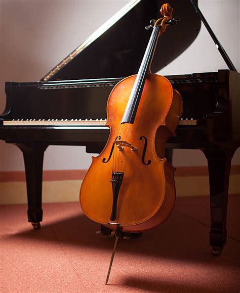 Foto di un'esibizione congiunta di violoncello e pianoforte.
