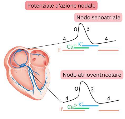 Schema grafico che illustra il passaggio dalla Legge antica (esteriore) al compimento di Gesù (interiore/del cuore)