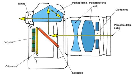 Infografica sullo schema di funzionamento di una fotocamera reflex o mirrorless