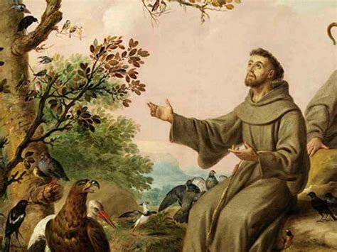 Illustrazione o foto di San Francesco in preghiera nella natura