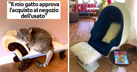 Foto di oggetti strani e maleficiati trovati in cuscini e materassi