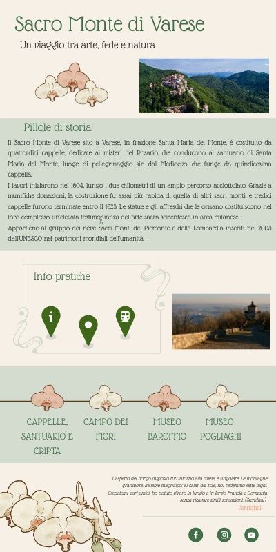 Sacerdote Sacro - Infografica abilità di cura e cooldown