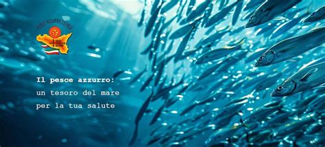 Infografica che mostra i benefici degli Omega 3 e come cucinare il pesce azzurro (acciughe/sardine)