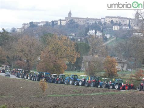 Sfilata di trattori agricoli per le vie di un borgo