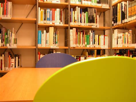 Interno della Biblioteca Don Bosco dell'Università Pontificia Salesiana con scaffali pieni di libri e aree studio