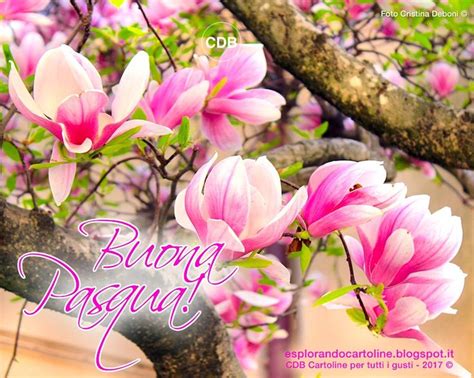 Immagine di auguri con magnolie bianche o rosa e fiori delicati