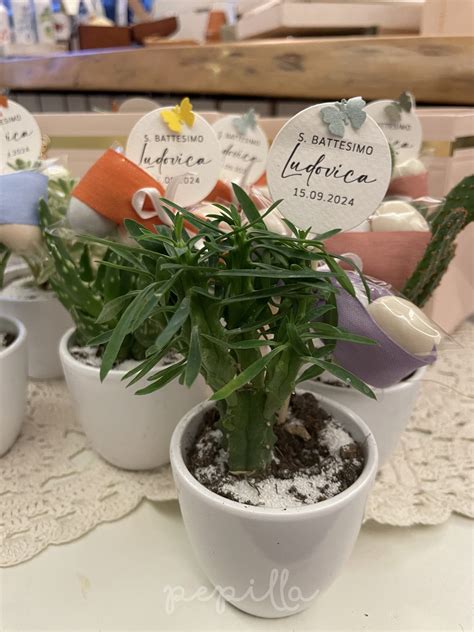 Assortimento di portachiavi personalizzati e piantine come bomboniere