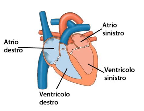Schema dell'interiorizzazione: dal mondo esteriore al 