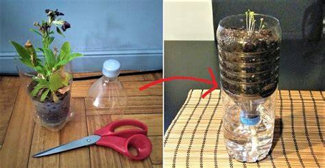 Schema di vaso autoirrigante per piante aromatiche