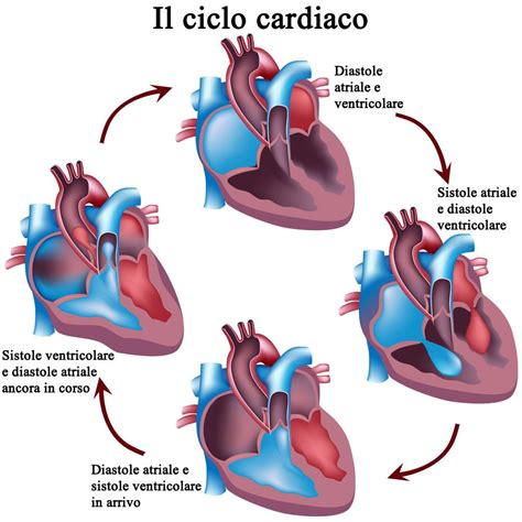 Schema che illustra il movimento di