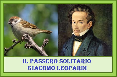 Illustrazione delle cinque proprietà del passero solitario