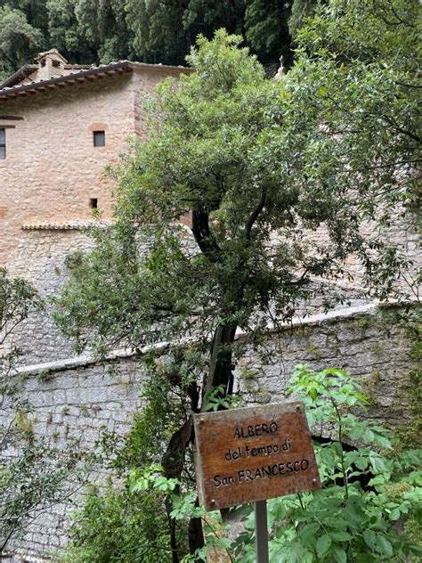 Vista panoramica dell'Eremo delle Carceri circondato dalla vegetazione del Monte Subasio