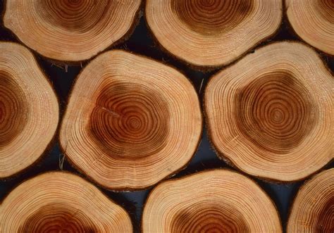 Foto ravvicinata del crocifisso che mostra la texture del legno di faggio e i dettagli del corpo in plastica fosforescente.