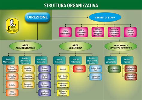 Infografica sulla struttura organizzativa e i dipartimenti della Casa di Cura Pio XI