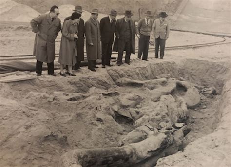 Foto o illustrazione del luogo del ritrovamento del SS. Crocifisso di Barrafranca (un campo, aratro, nicchia sotterranea)