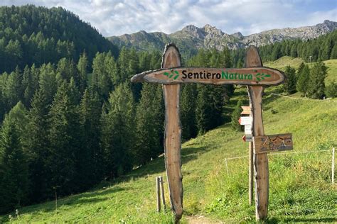 Foto del sentiero che conduce all'Eremo di San Zeno, con segnaletica