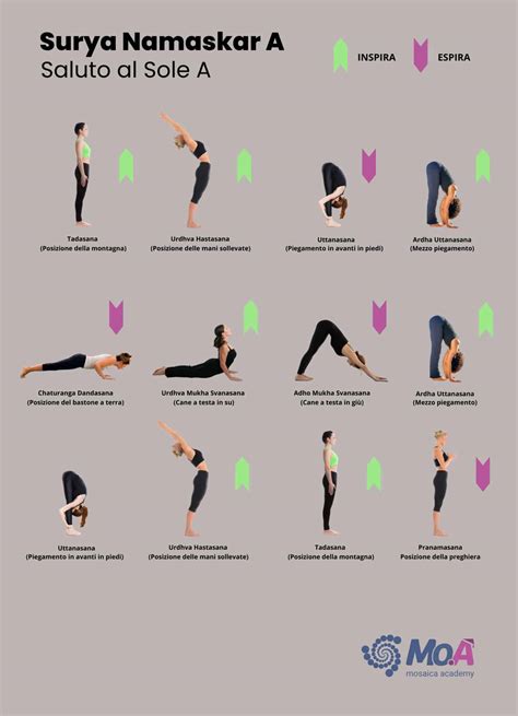 Illustrazione delle dodici posizioni del Saluto al Sole (Surya Namaskara)