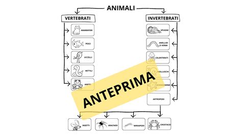 schema degli animali puri e impuri secondo le leggi del Levitico e del Deuteronomio