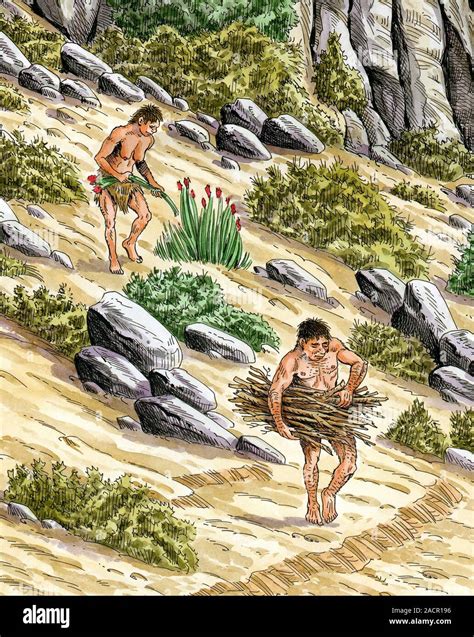 Illustrazione delle feste agricole israelite con scene di raccolta e celebrazione
